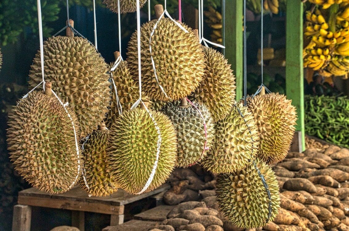 Durian - König der Früchte