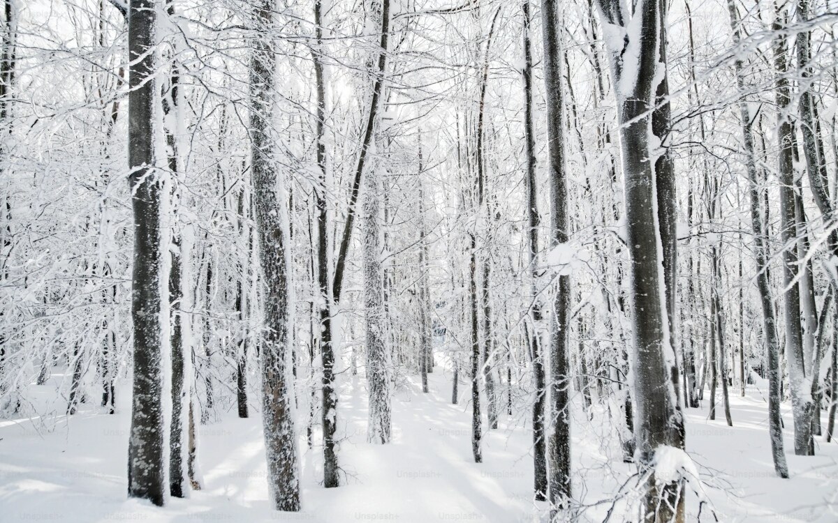 Schneemassen bringen wintereinbruch in england und schottland