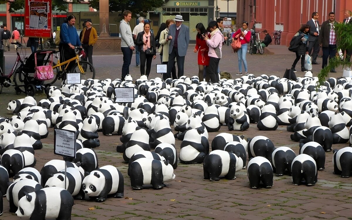 Shanwei bellende pandabaeren chinesischer zoo enttarnt schwindel