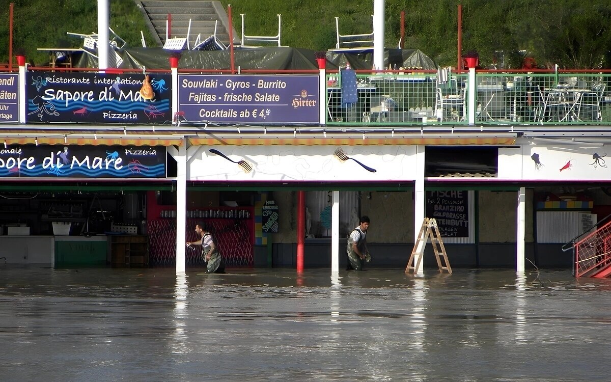 Wien hilfen nach hochwasser in niederoesterreich starten zuegig