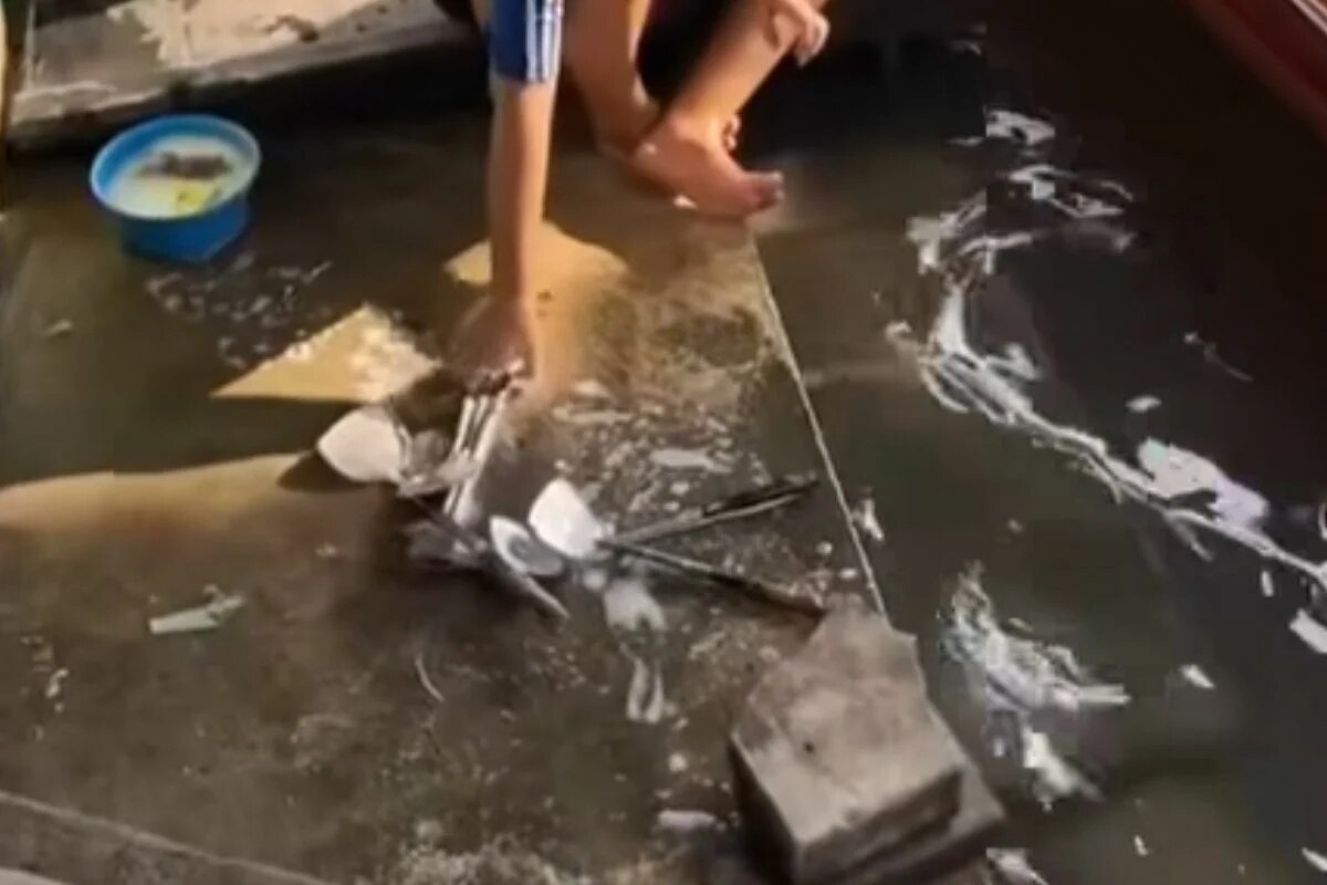 Hygiene-Alarm: Video zeigt Spülen von Geschirr in thailändischem Kanal - Macht das nicht jeder so?