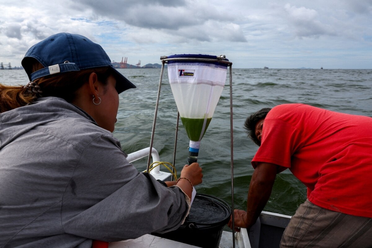 Riesige Planktonblüte in Chon Buri führt zu einer &quot;toten Zone&quot; im Meer