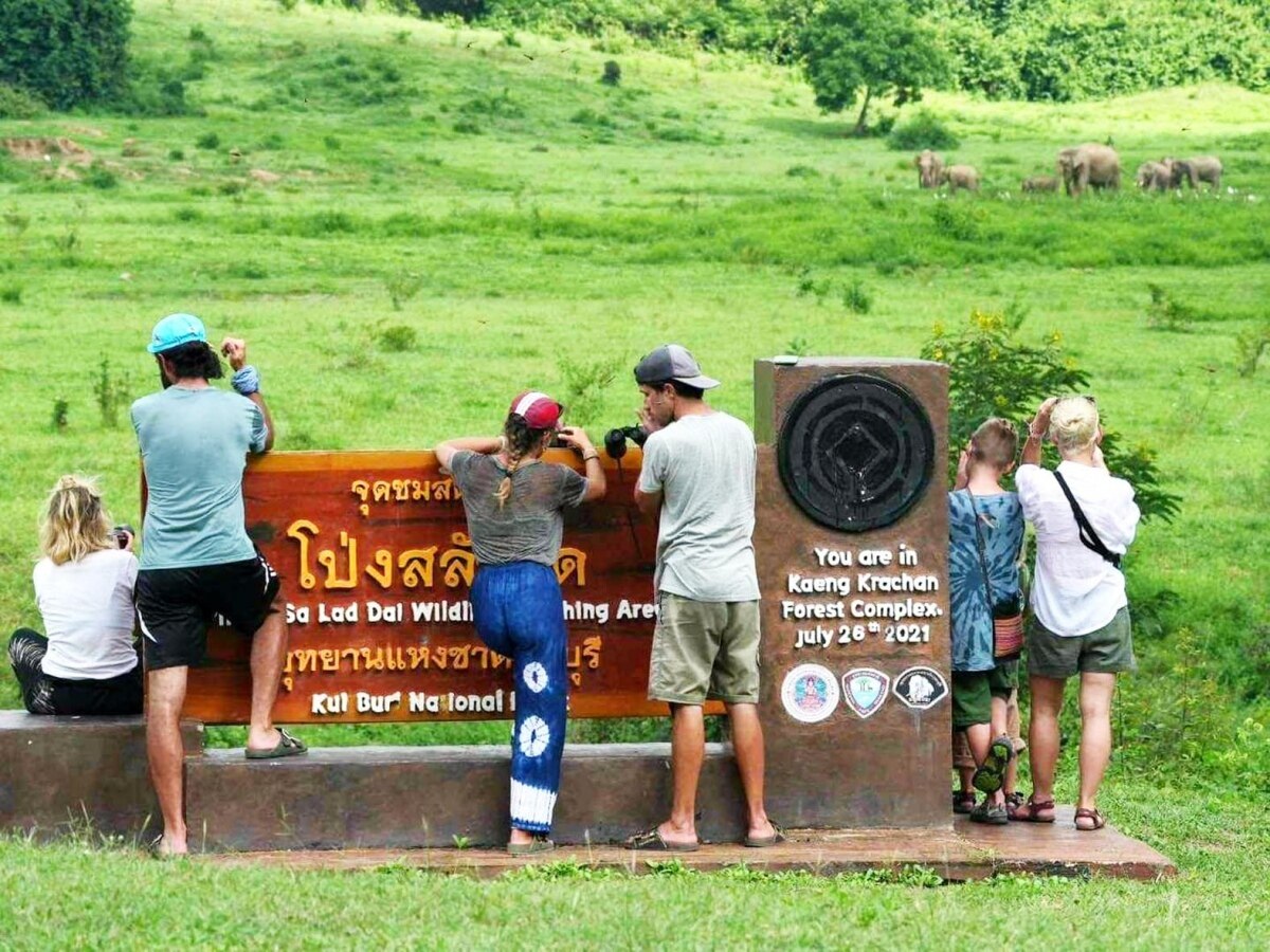 Deshalb ist jetzt eine gute Zeit, um Elefanten im Kuiburi-Nationalpark zu sehen