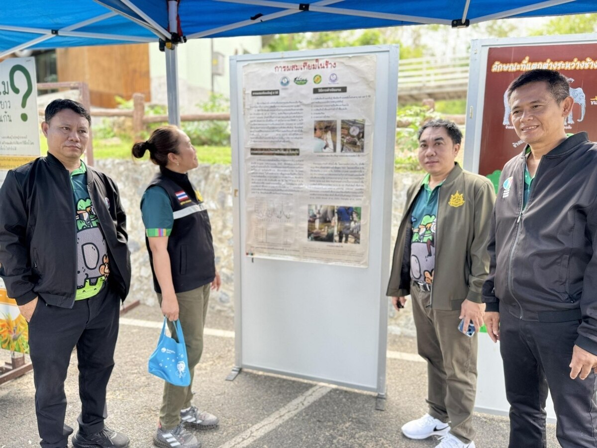 Großes Festmahl zum Thai Elephant Day im Khao Kheow Open Zoo zieht Besucher an